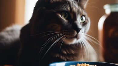 grain-free-cat-food